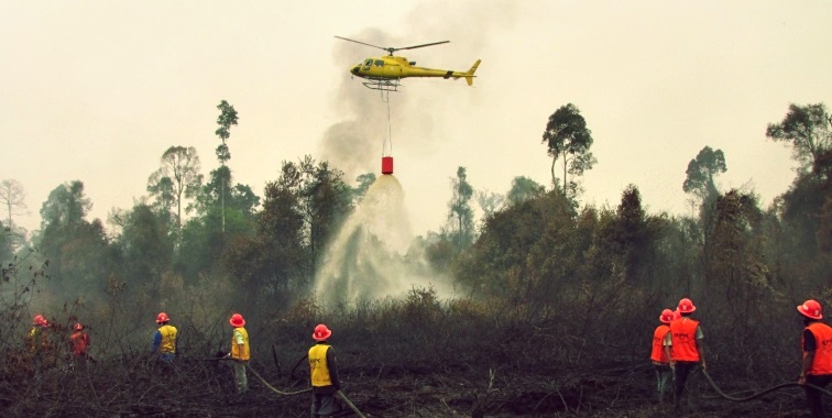 Ilustrasi kebakaran hutan dan lahan/blog.act.id.